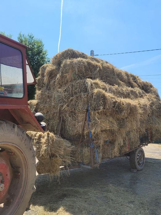 Baloți de fan de vânzare