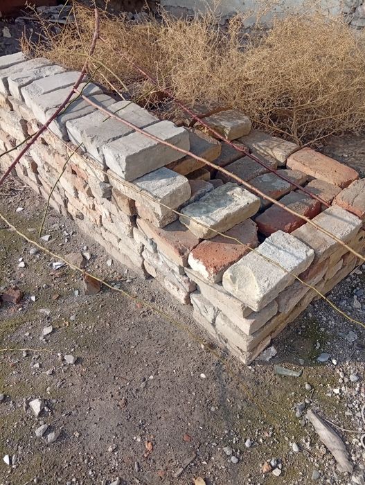 Пишкан гишт срочный сотилади