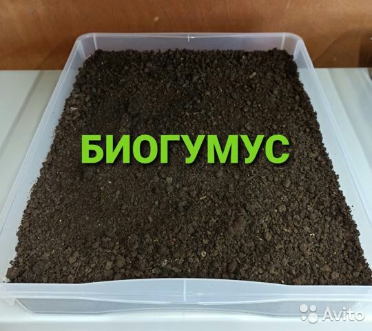 Биогумус ва чувалчанг