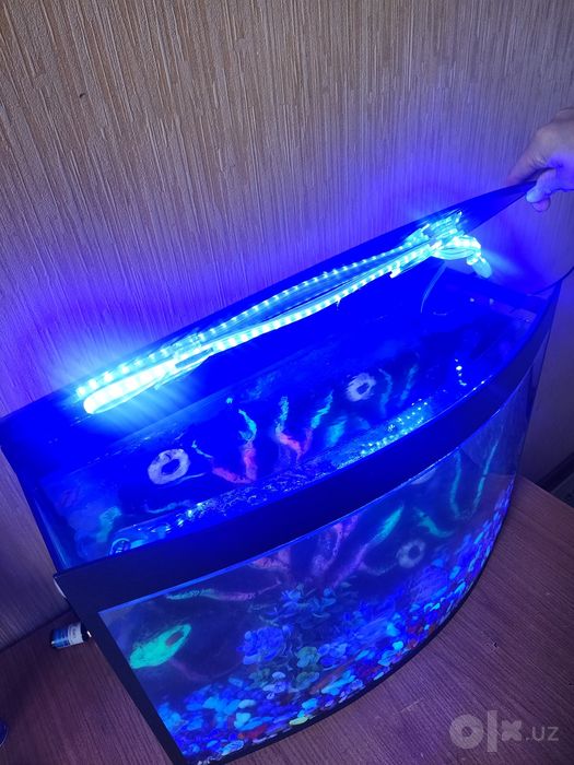 Avarium 35 litr kotta