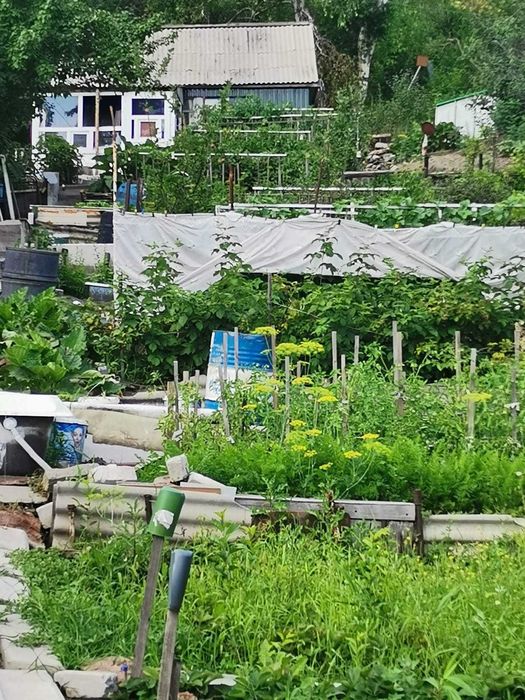 Продам дачу на Мирном