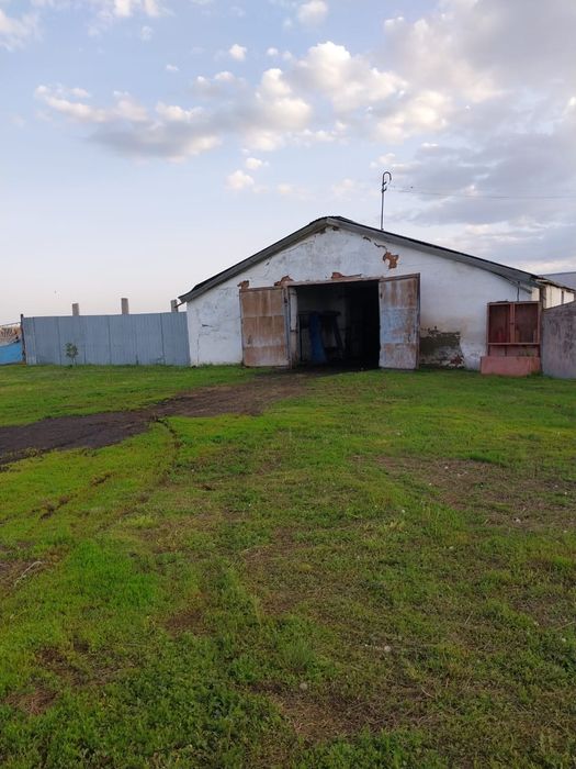 Животноводческое хозяйство