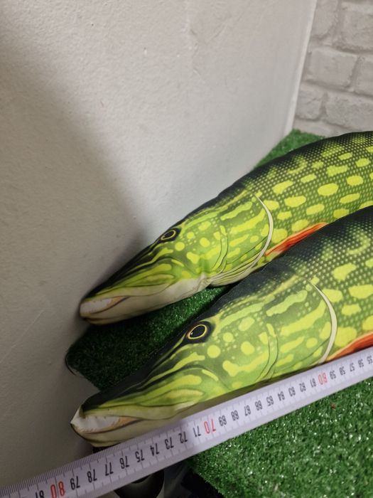 Възглавници риби разнообразие