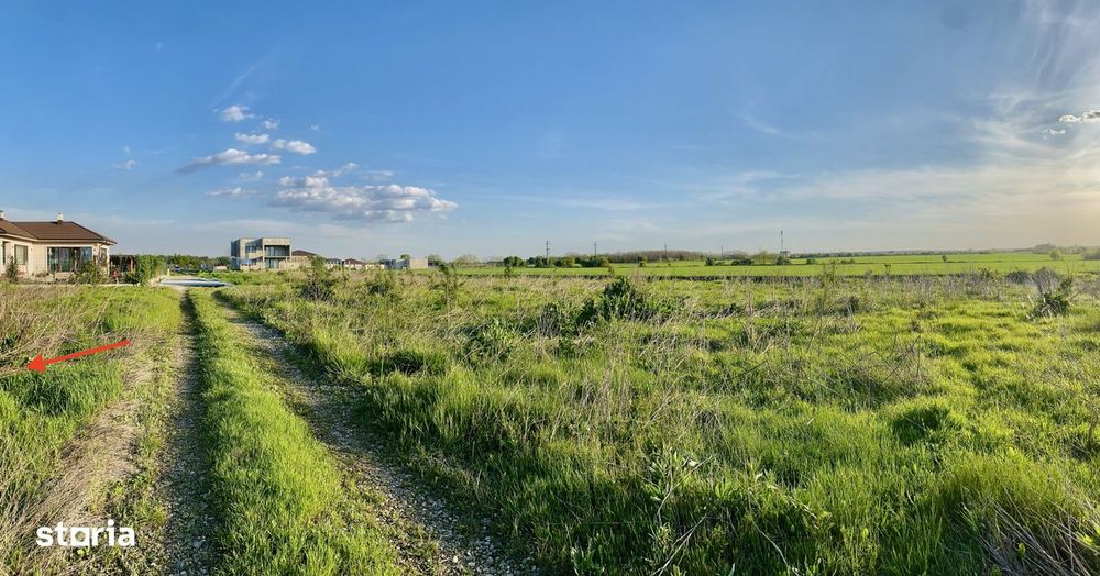 Teren Corbeanca, Balotesti, retras, cu padure si lac in apropiere