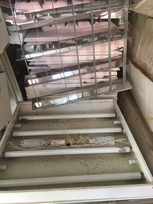 Corpuri luminat cu neon