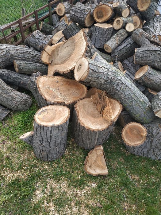 Орехови трупи 2.5 м