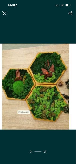 Set 3 hexagoane premium