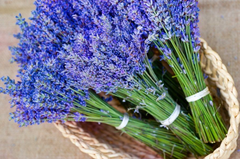 Lavanda yostig'i лаванда ёстик (AROMA TERAPIYA)