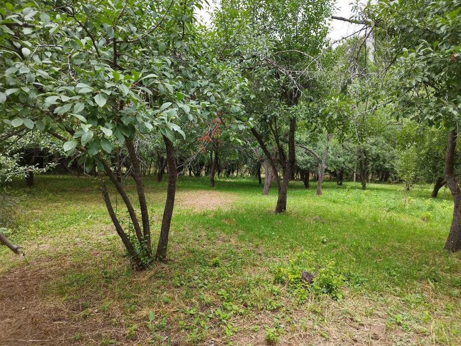 Дача в горах 47 сот {Палванак}