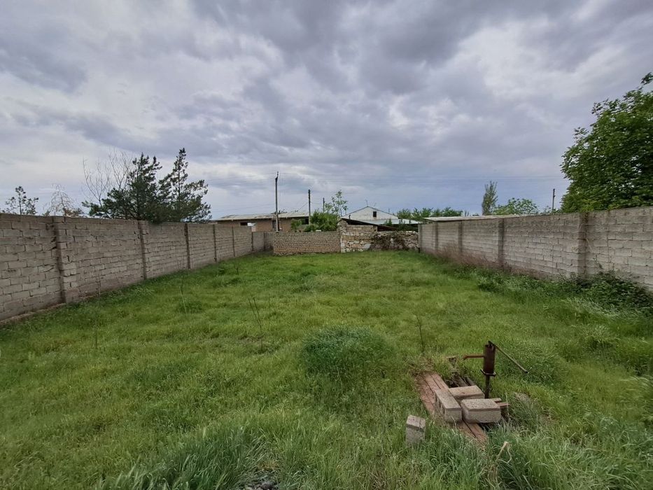 Дала ховли пулот даргом
