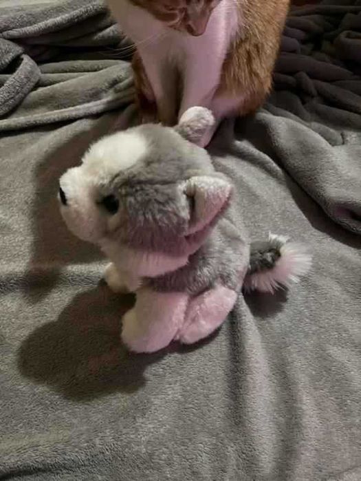 Детска плюшена играчка куче