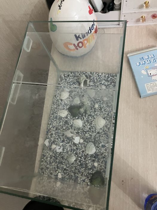 Продается аквариум с камнями и ракушками