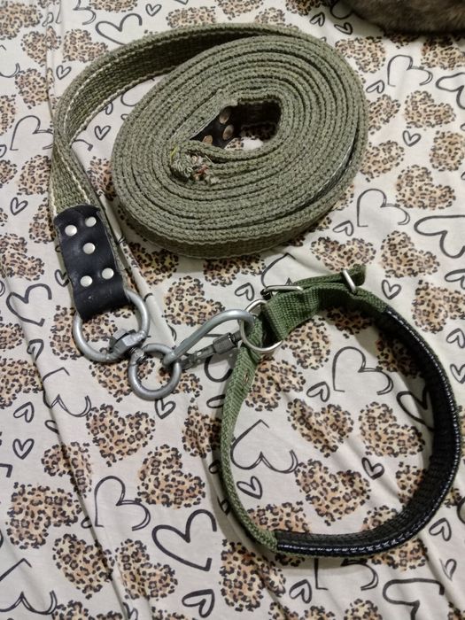 Продам ошейник с поводком