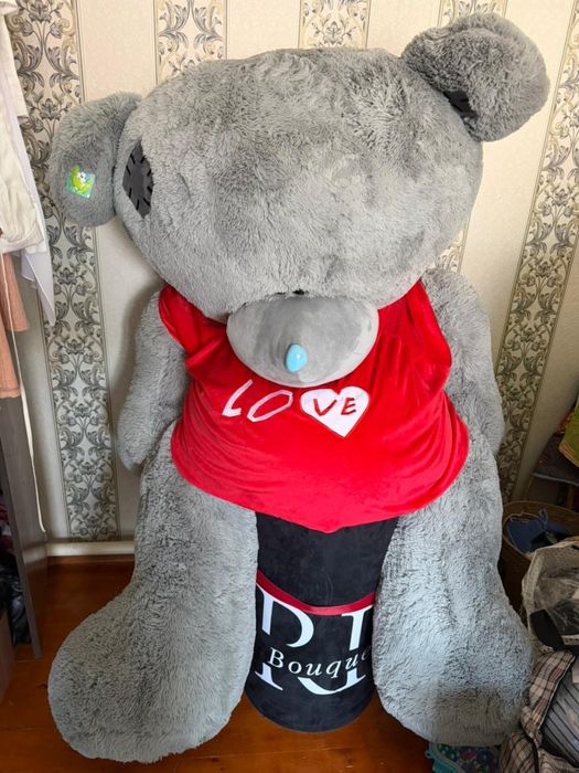 серый медведь продается