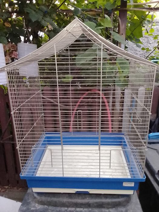 Colivie pentru animalutul vostru