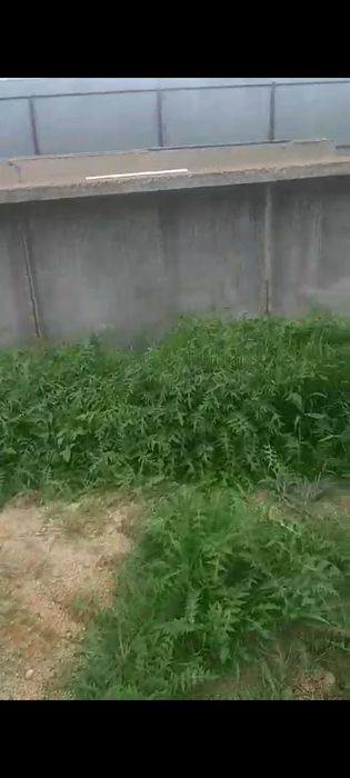 Битон плиталар сатлады