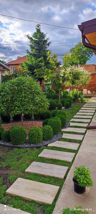 Озеленяване и декорация Тревен чим