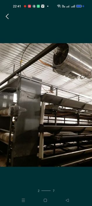 Продам срочно клеточное