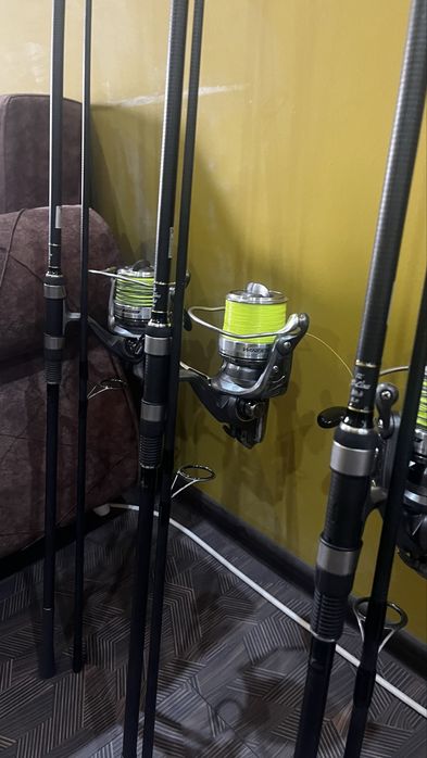 Free Spirit E class gold SU-DAIWA windcast z 5000