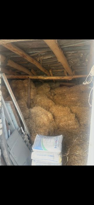 Сомон прес срочно сотилади арзон