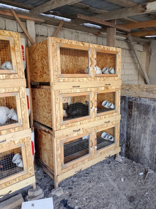 Куëнларимиз сотилади