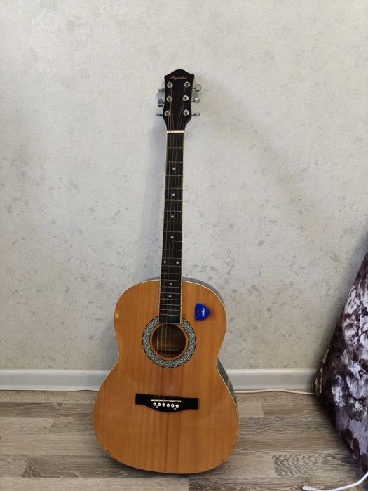 Гитара Agnetha AKG-E120