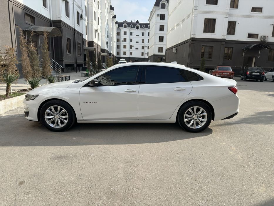 Malilu XL 2018  oq Jemchuk