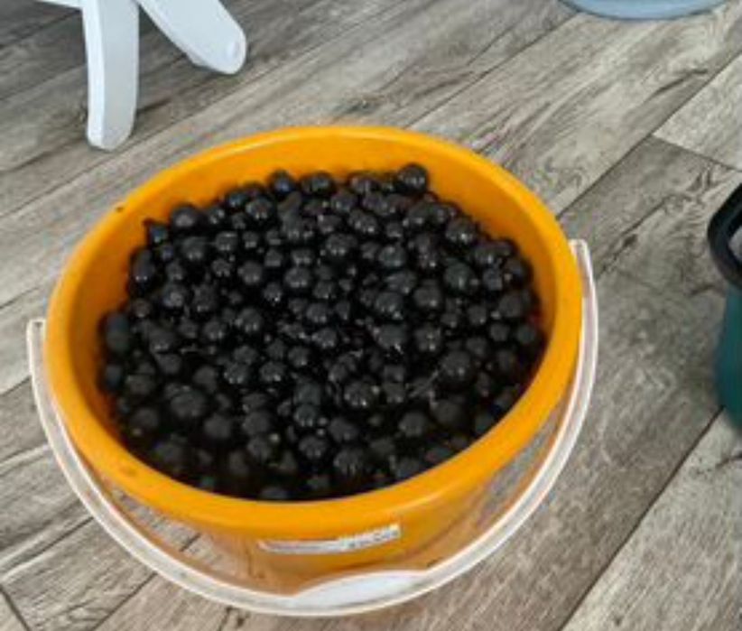 Смородина заказбен жеткiземiз!