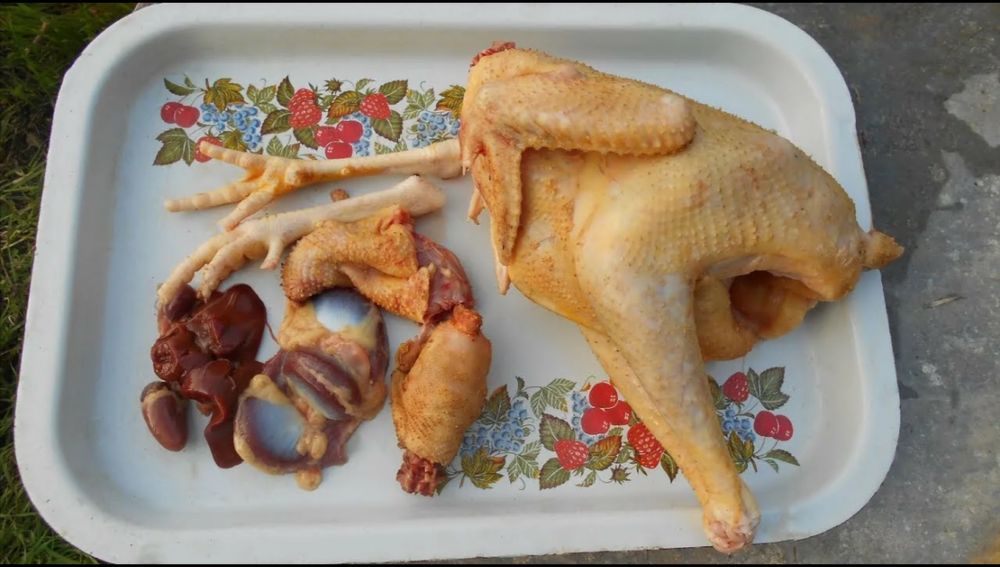 Домашние яйца, домашнее яйцо