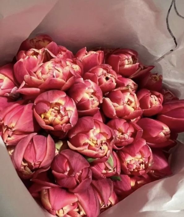 Тюльпаны оптом на заказ