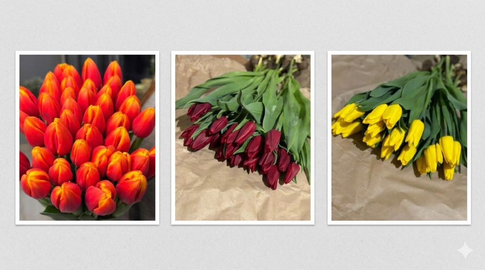 Тюльпаны в розницу