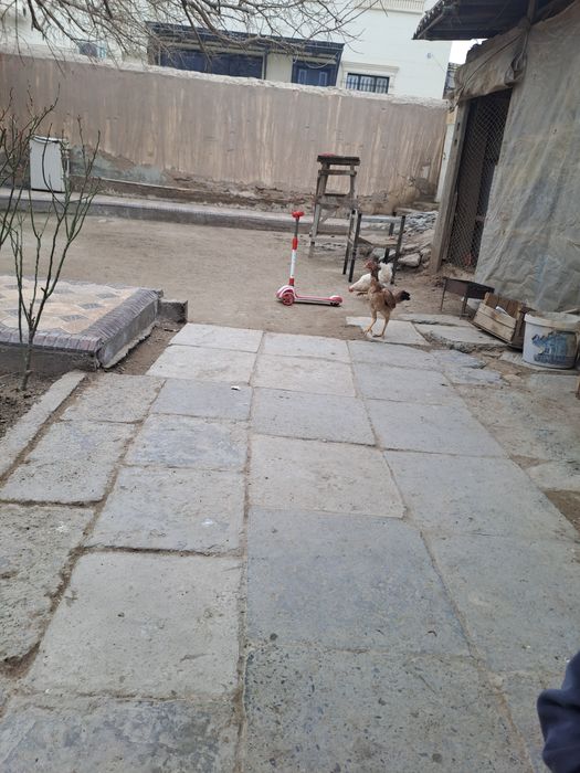 Soglom makiyanlar  300mingdan