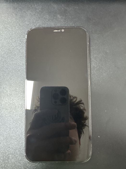 iPhone 12 Pro Max 256 ГБ