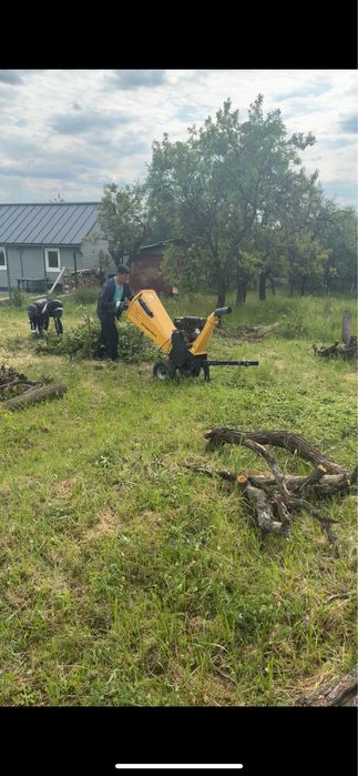 Defrișari ,  nivelari cu bobcat , intretinere spatii verzi