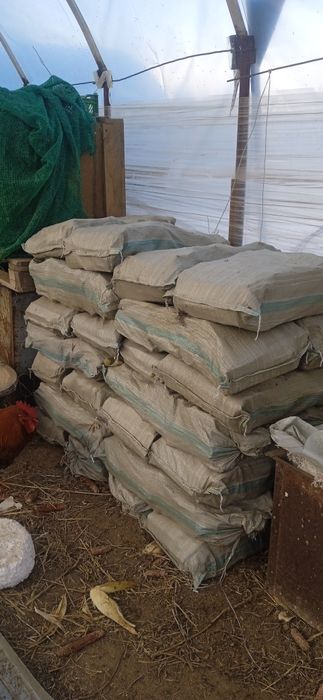 Дрова рублиные тополь