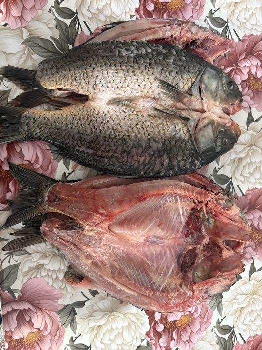 Сазан чищеный свежий