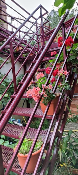 Cazare regim hotelier