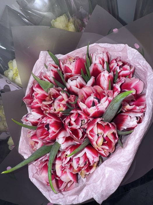 Тюльпаны опт и розница