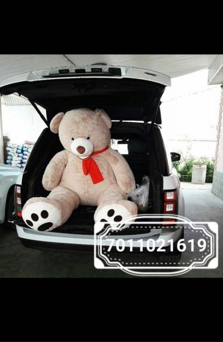 Плюшевые Мишки Тедди Тараз