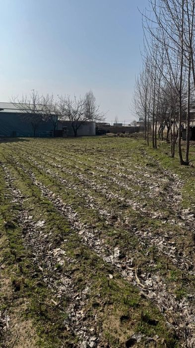 Yer sotiladi 8 sotik