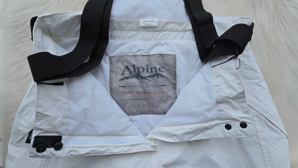 Мъжки ски панталон Alpine размер Л