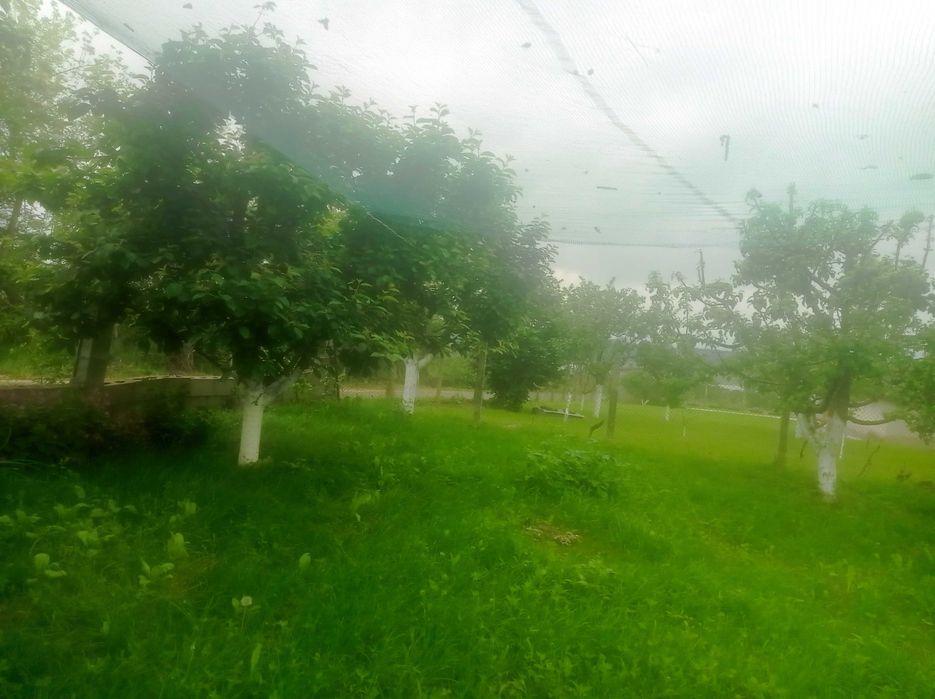 Къща в село Ловец, Шуменско