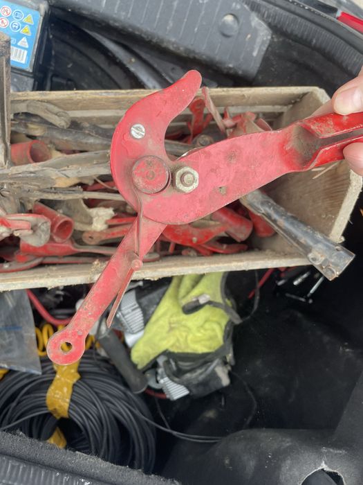 Сикатор верховой, сучкорез