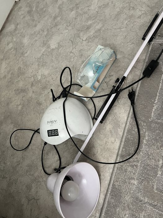 Бесплатно отдам , район рыскулова момушулы