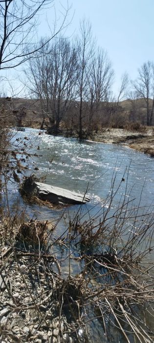 Крестьянское хозяйство