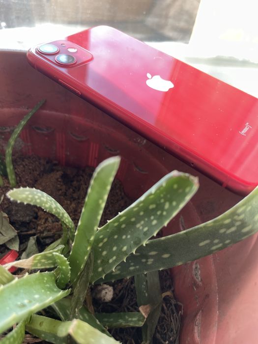 Продам айфон 11 на 128г красный