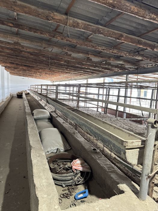 Қора сатылады жағдае жасалған