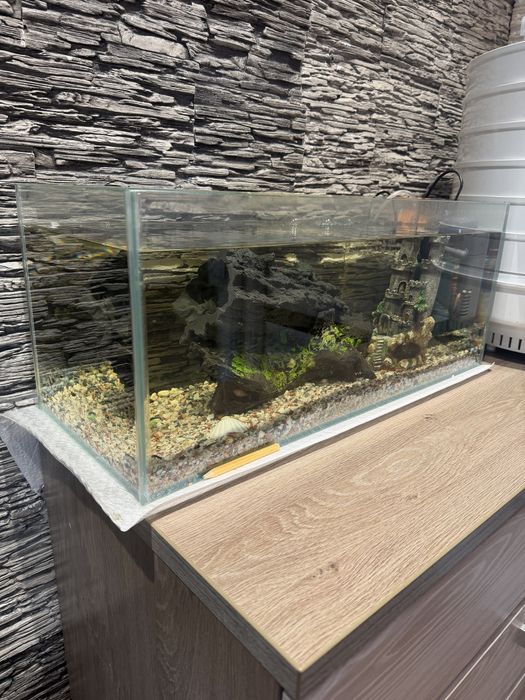 Аквариум на 40 литров