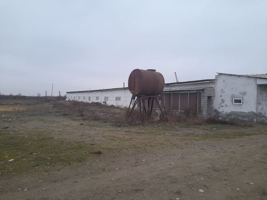 Срочно !!! Продам ферму 9,3 га. Гулистан