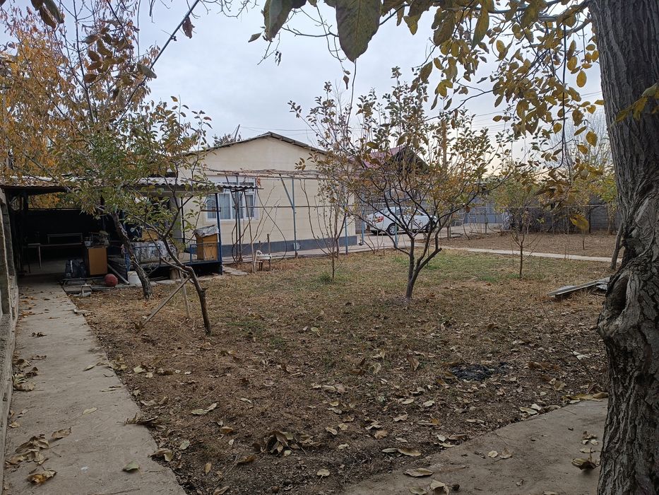 Дача 7 сотих хамма шароти бор